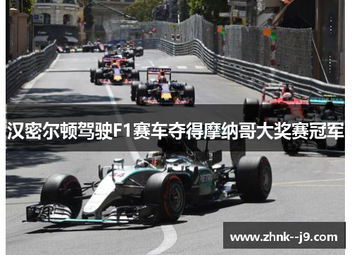 汉密尔顿驾驶F1赛车夺得摩纳哥大奖赛冠军