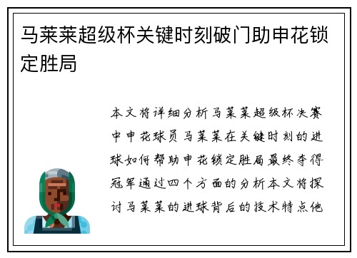 马莱莱超级杯关键时刻破门助申花锁定胜局