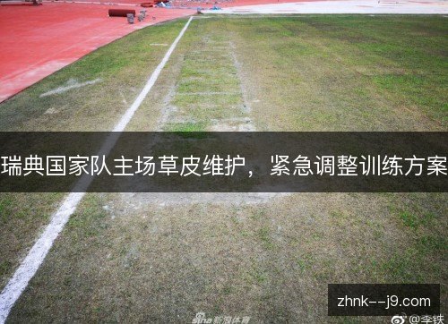 瑞典国家队主场草皮维护,紧急调整训练方案 瑞典国家队主场草皮维护,紧急调整训练方案